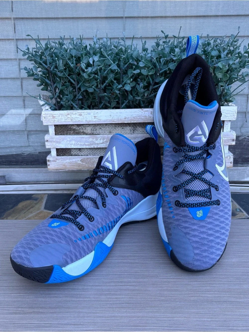 NIKE ‘Giannis Immortality’ Basketball Shoes